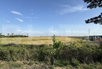 Teren agricol intravilan de 42000 mp, în Aeroport - 1