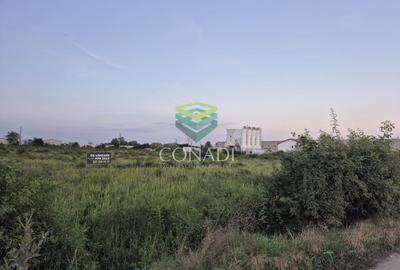 Teren  - pretabil pentru industrial - Centura -  Clinceni - 2