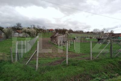 Teren intravilan de vanzare in Calarasi langa Turda! - 13