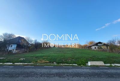 Teren Construcții intravilan de 11939 mp, în Bălănești - 7