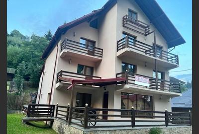 Holiday house/pension in Dâmbovicioara, Argeș - 5
