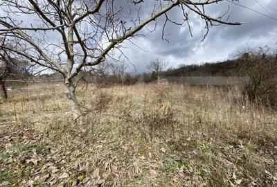 Teren intravilan in suprafata de 2000 mp, zona Episcopiei - 11