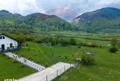 Teren de 1100 mp, în Tohănița
