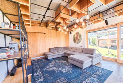 Vila spectaculoasa de vanzare in Faget - 3