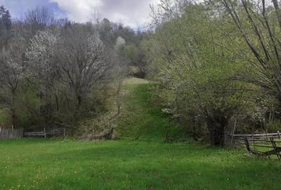 Teren de 4768 mp, în Agăș - 2