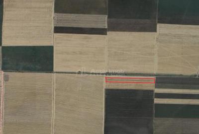 Arabil cultivat, canal irigatii, UAT Gurbanesti spre Nana si - 7