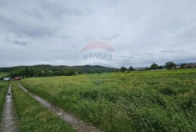 Teren de 1495 mp, în Dobreni - 20