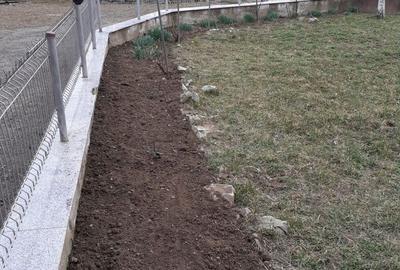 Casă cu 3 camere în Făget - 3