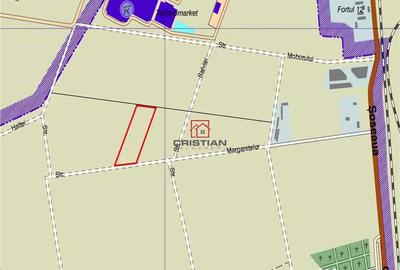 Teren de 19500 mp, în Domnești - 1