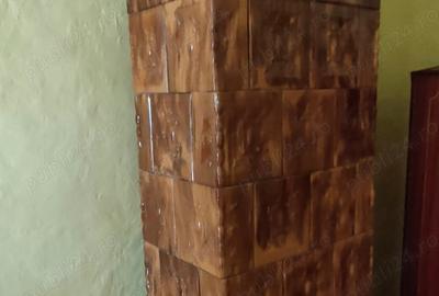 Casă cu 4 camere cu Teren 3000 Mp în Alioș - 17
