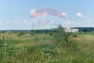 DE VANZARE Teren intravilan 600mp Drumul Piscul Mosului S... - 12