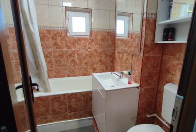 Apartament cu 3 camere decomandat în Siderurgiștilor - 9