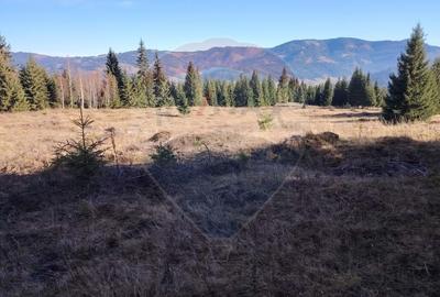 Teren agricol extravilan de 16289 mp, în Coverca - 10