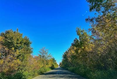 Casa noua, eficienta energetic, 4 camere – aproape de Bucuresti, 5 min A2 - 5