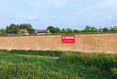 Teren de 600 mp, în Sânpetru Mare - 1