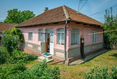 O casa, un teren, mai multe optiuni - Comanesti, Str. Moldovei