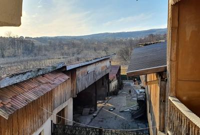 Casa / Pensiune de vanzare – Balta, Gorj - 20