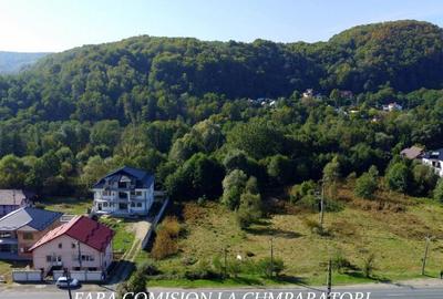 VLADESTI - TEREN 800 MP, DESCHIDERE LA DN - 4