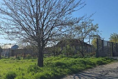 Spațiu comercial, în Central - 2