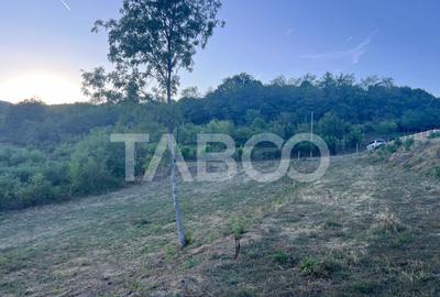 Teren intravilan 2162 mp cu deschidere de 33m Jiblea Veche C - 5