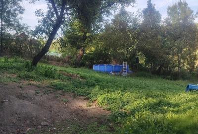 Casa boiereasca vanzare la Urseiu, Dambovita - 1