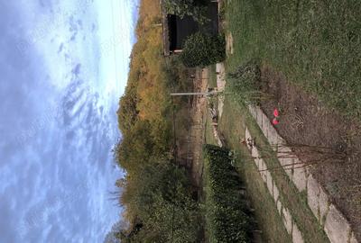 Casă în Central - 5