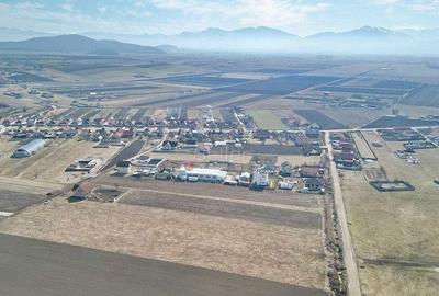 Teren Extravilan, P.U.Z. inceput - 4