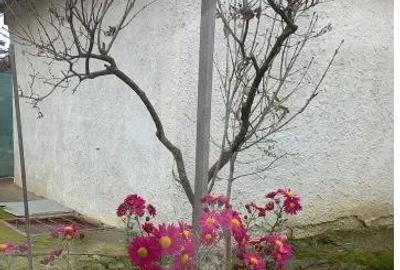 Casa batraneasca cu teren generos 1.807 mp, Tulbureni - 3