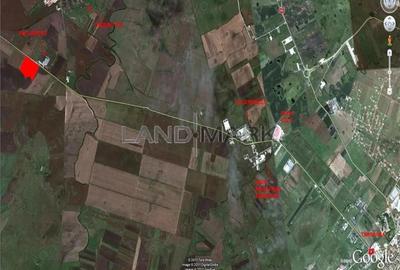 Teren Industrial cu PUZ de vanzare pe Calea Torontalului - 2