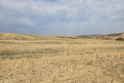 Teren Negureni, cota parte 1/8, ID: R2695094 - 8