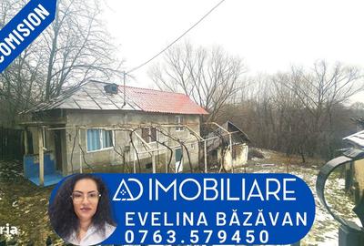 Casă cu 3 camere cu Teren 1378 Mp în Turcinești - 2