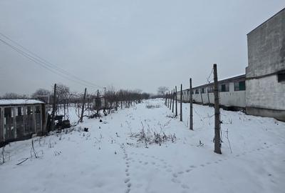 Casă cu 4 camere în Aradul Nou - 2