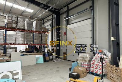 Spațiu industrial, de 760 mp, în Mogoșoaia - 5