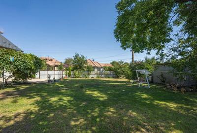 Casa de Maneciu Pamanteni, singur curte - 3