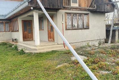 Casă cu Teren 4000 Mp în Răucești - 1