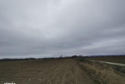 Teren de 15000 mp, în Gura Ocniței - 1