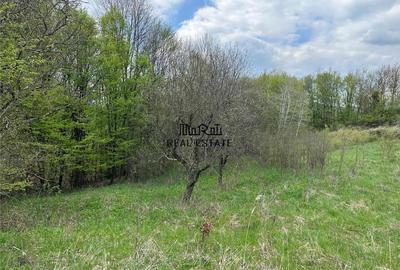 Teren de 3415 mp, în Luncoiu de Sus - 7