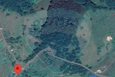 Teren constructii si faneata/livada 3082 mp Damis Bratca drum DJ 764D - 19