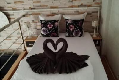 Casa open space in Centru Vechi - 1