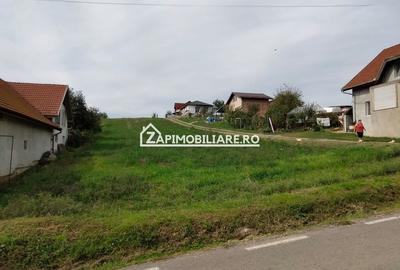 Teren Construcții intravilan de 2248 mp, în Nazna