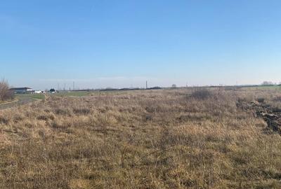 Teren pentru duplex in Sacalaz - 600 mp, in Spatele Cartierului Primaverii - 7