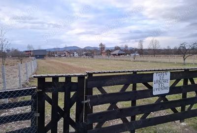 Teren de 1300 mp, în Ocna Șugatag - 3