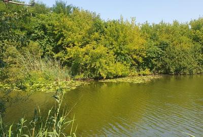 Teren intravilan Comuna Snagov , Lac Snagov - 2