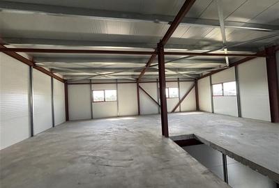 Inchiriere depozit/hala/spatiu industrial Theodor Pallady - Drumul Intre Tarlale - 9