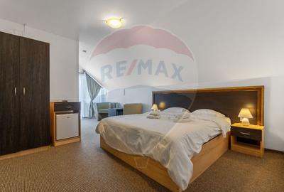 Hotel/Pensiune, de 404 mp, în Vlădeț - Trei Brazi - 12