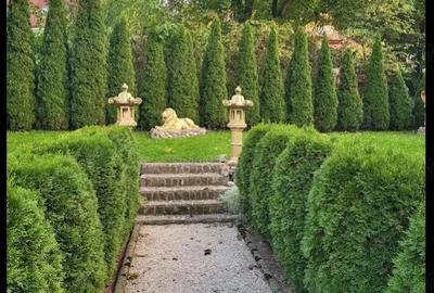 Eleganta si istorie: Apartament 4 camere in Centrul Istoric - 1