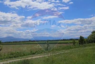 Teren intravilan Satu Nou- Halchiu-jud Brasov/ 655mp - 10