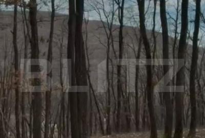 Teren de 3300 mp, în Sălicea - 5