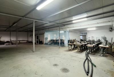 Casă cu 10 camere cu Teren 3883 Mp în Calea Caransebeșului - 10