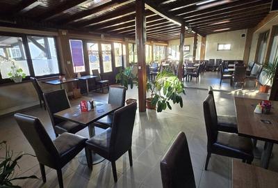 Spațiu comercial, de 500 mp, în Central - 3